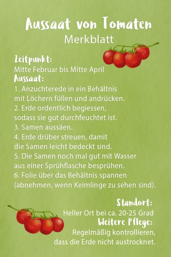 Aussaat-von-Tomaten-Merkblatt-2-570x855.jpg