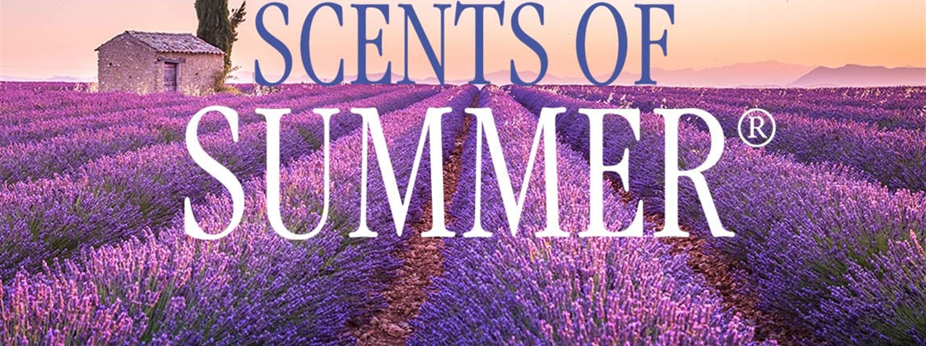 scents-of-summer-volmary-2.jpg